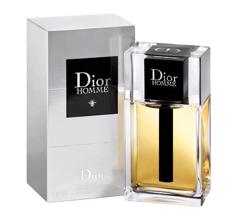 christian Dior Homme original